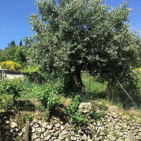 Apartmán Filoxenia Kontogiannis Lazaráta