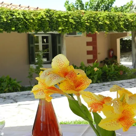 Apartmán Filoxenia Kontogiannis