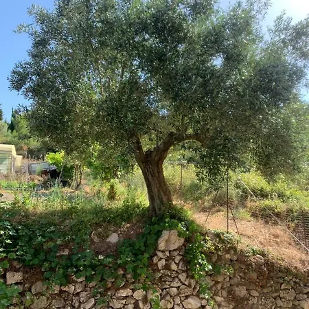 Apartmán Filoxenia Kontogiannis Lazaráta