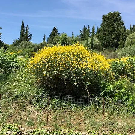 شقة Filoxenia Kontogiannis
