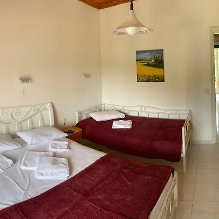 Filoxenia Kontogiannis