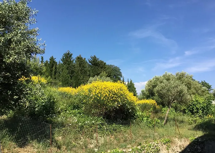 Διαμέρισμα Filoxenia Kontogiannis