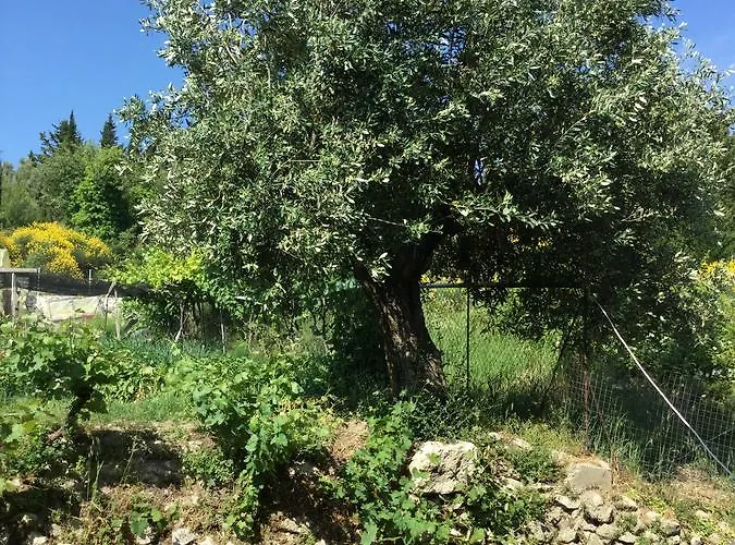 Διαμέρισμα Filoxenia Kontogiannis Λαζαράτα