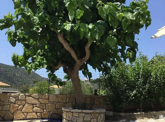 Filoxenia Kontogiannis * Λαζαράτα