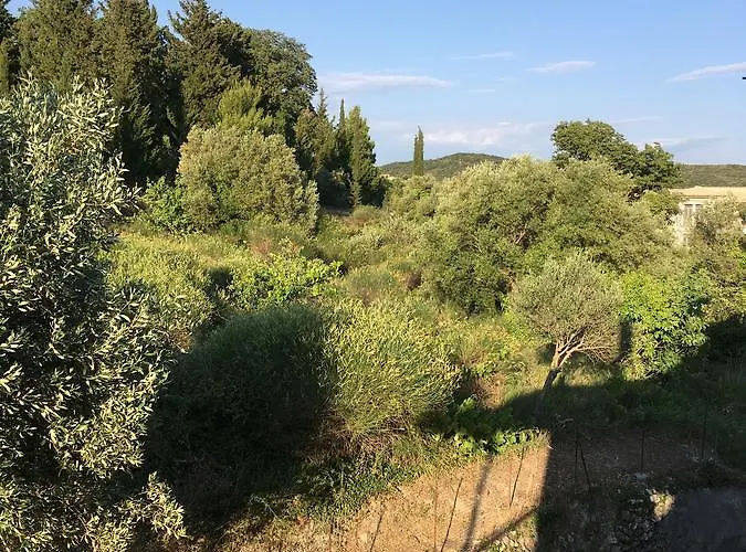 Filoxenia Kontogiannis Λαζαράτα