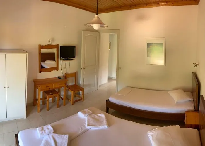 Filoxenia Kontogiannis *