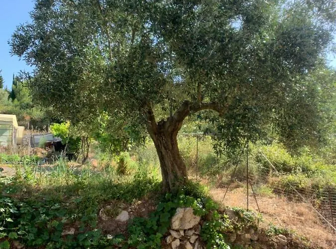 Διαμέρισμα Filoxenia Kontogiannis Λαζαράτα